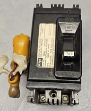 FPE Type NE 30 Amp 240 Volt 2 Pole Circuit Breaker