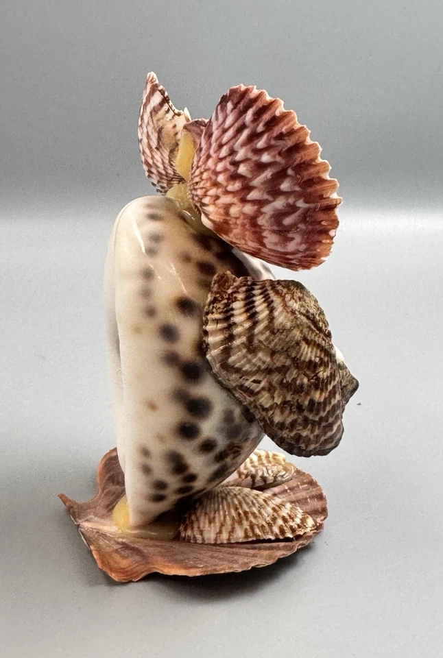 Pair Vintage Sea Shell Owl Art Sculpture Hand Crafted Figurines 4.5” & 3.5” Tall - Image 3 of 4