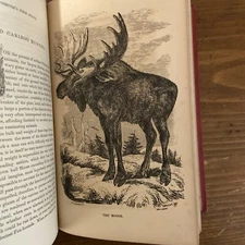 1849 Frank Forester’s Field Sports 2 volume set; 1st American edition 