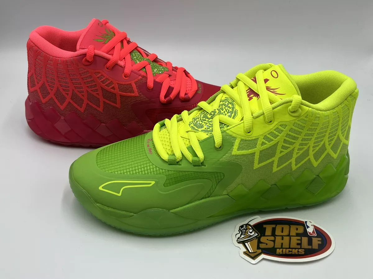 Rick and hotsell morty basketball shoes