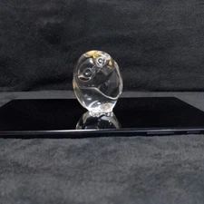 Steuben Art Glass Crystal Owl Hand Cooler Desk Paperweight Figurine