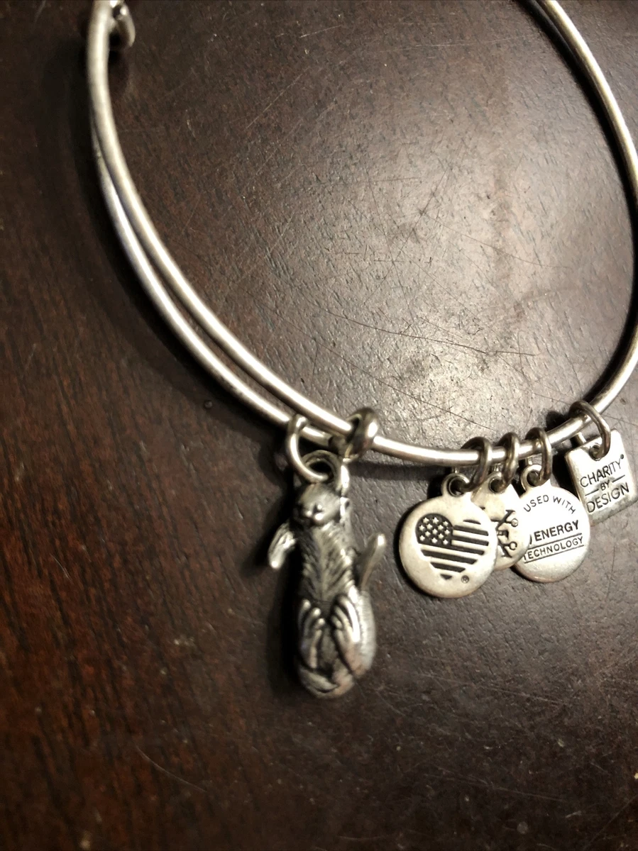 Alex and ani otter cheap bracelet