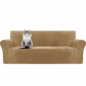 cat scratch velvet sofa