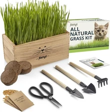 Cat Grass Kit for Indoor Cats – x4 Seed Packets | Cat Grass Seeds with Wooden...