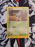 POKEMON TCG CARD - SEEDOT 77/100 EX SANDSTORM COMMON - NEAR MINT