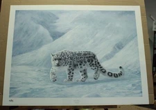 Gray Ghost by Charles Frace' Wildlife Snow Leopard Mountains Conservation Stamp