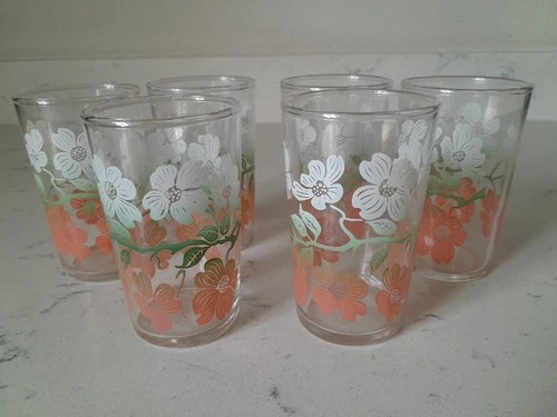Rare 6 Pc Vintage 1950s MCM Federal Glass Wildrose Tricolor Juice Glasses 3.5"