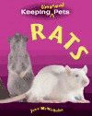 Rats Paperback June McNicholas