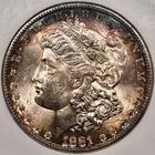 1881-S Morgan Dollar, NGC MS65, super color! DKRC's DOLLAR DEAL WEDNESDAY!!!