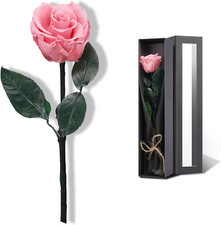 Coral Pink Flowers for Delivery Prime, Preserved Pink Roses Flower Gifts for Wom