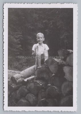 Road to Grünau near Menschenberg - Young Forest Logs - Old Photo