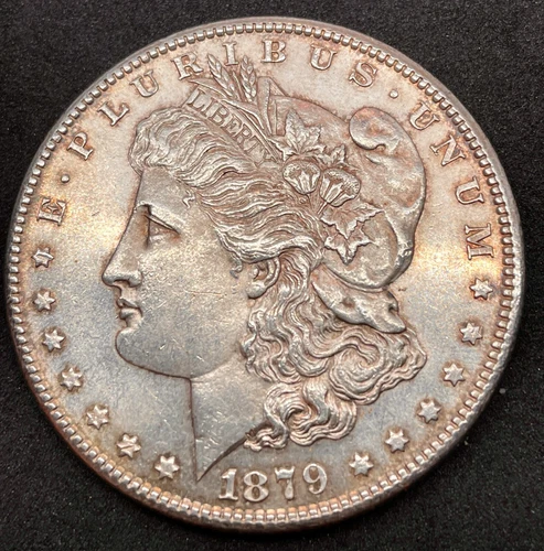 1879-S  MORGAN DOLLAR - Toned MS..Beautiful Coin