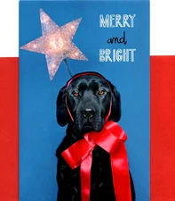 Funny Merry Christmas Black Lab Dress Up For The Holidays Greeting Card
