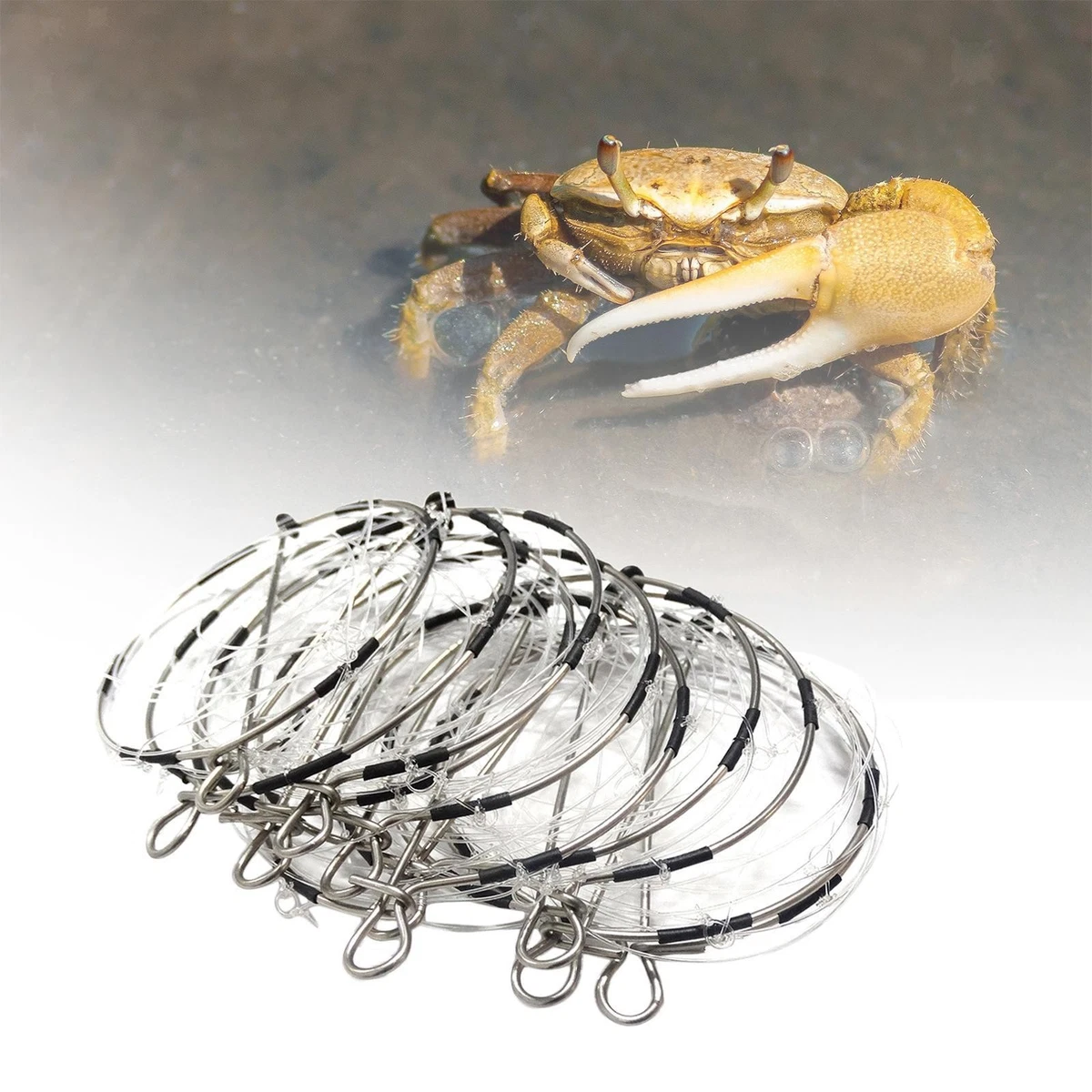 Trappola Per Granchi E Gamberetti Pieghevole | Nassa Da Pesca Con Custodia, Accessori Per La Cattura In Mare E Lago - 3