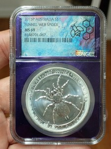 Funnel-Web Spider | eBay