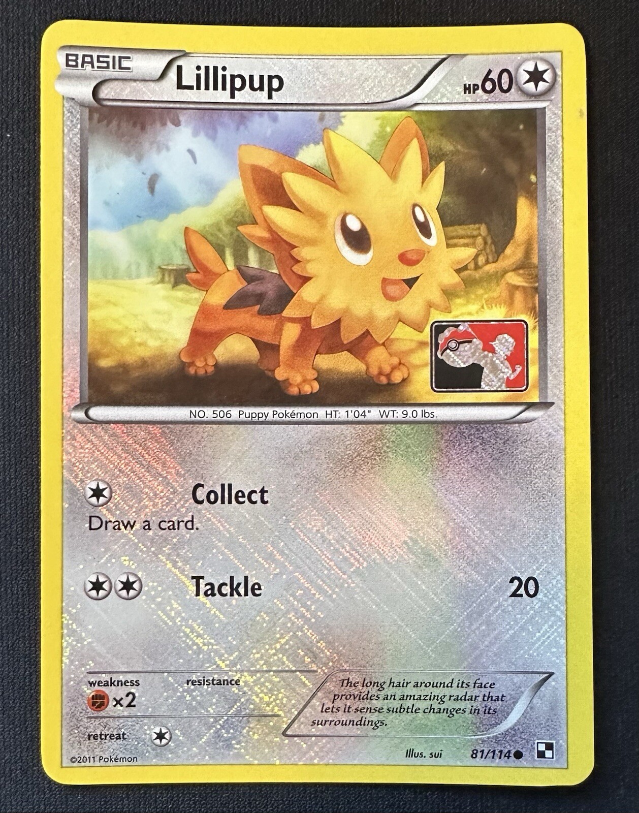 Pokemon TCG - LILLIPUP - Black & White 81/114 Play League Reverse Holo Promo LP