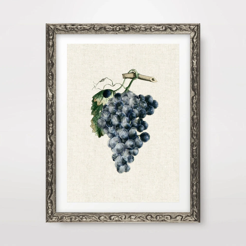 Winegrapes Wine Kitchen Wall Decoration