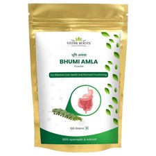 Bhumi Amla Powder Churn Organic And Pure 100 gm F/Ship