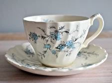 Vintage Myott England Forget Me Not Fine Staffordshire Tea Cup And Saucer...