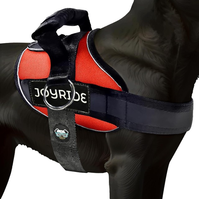 Joyride Harness 2.0