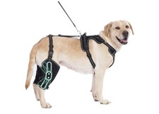 OJLUOJ Dog Hip Brace Support for ACL Luxating Patella with Traction Rope, 4 Limb