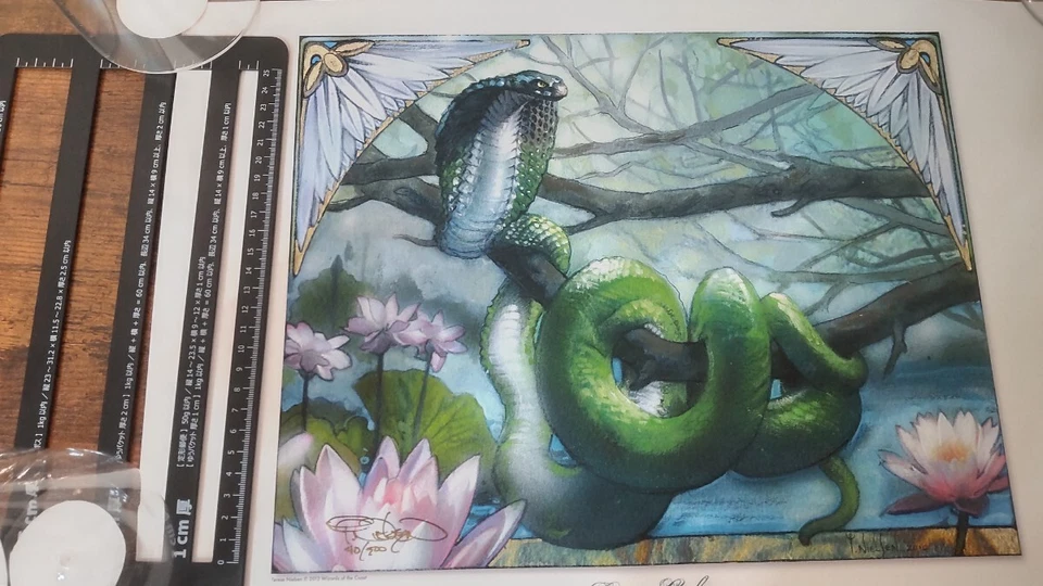 MTG Lotus Cobra Limited Edition Signed Original Art Print No 40 - Image 4 of 4