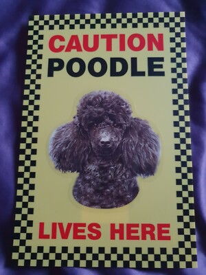 ACHTUNG Pudel lebt hier Schild Hund Sicherheitsschild Schwarzpudel Zwergpudel