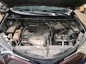 2017 Rav 4 Camera/Projector Sku#4392013