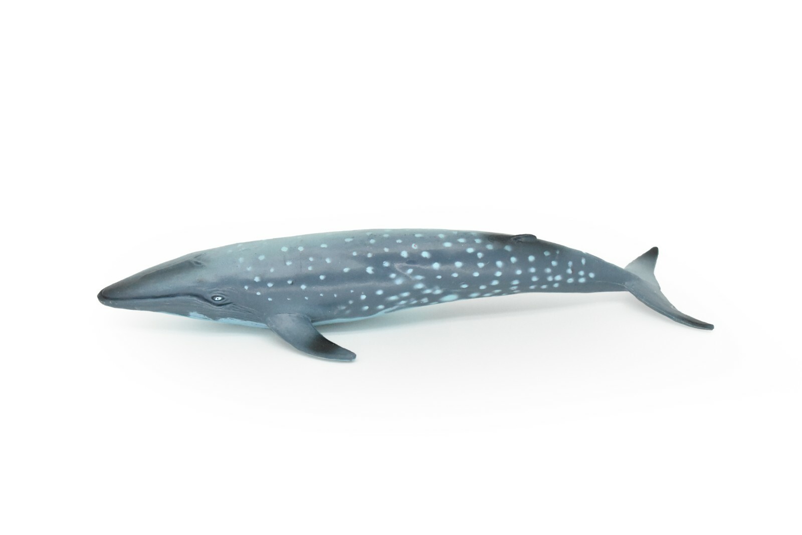 Whale, Blue, Museum Quality Rubber Blue Whale Model, Toy, 7