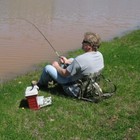 Picture 8 of 8