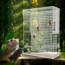 Bearded Dragon Feeder Box   Transparent Acrylic Bug Bowl for Chameleon, Gecko