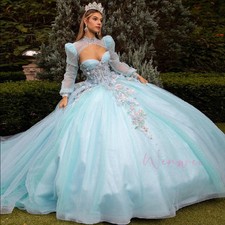 Blue Princess Applique Long Sleeve Ball Gown Quinceanera Dresses Custom Sweet