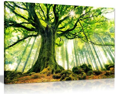 Gerahmtes Leinwandbild Grüner Wald Bäume Wälder Wandbild Wohndeko
