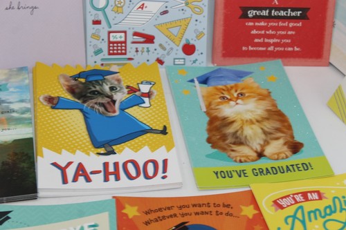 Graduation Random Card Lot of 109 Cards & 3 Envelopes Hallmark Greeting HUGE - Picture 8 of 18
