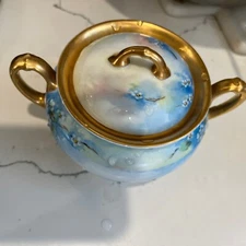 Antique Bavarian Porcelain Sugar and Creamer Carnations Limited Edi- Gorgeous