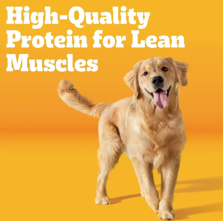 Pedigree Grilled Steak and Vegetable Flavor Adult Dry Dog Food - 18lbs - Image 2 of 4