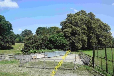 Photo A3 Cattle pens Much Wenlock  c2021