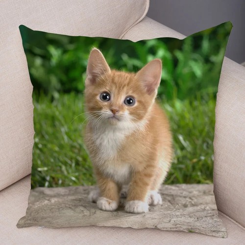 Funny Cute Cat Pillowcase Lovely Pet Animal Print Pillow Case Cushion Cover - Picture 40 of 72