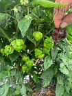Bild 3 von 5