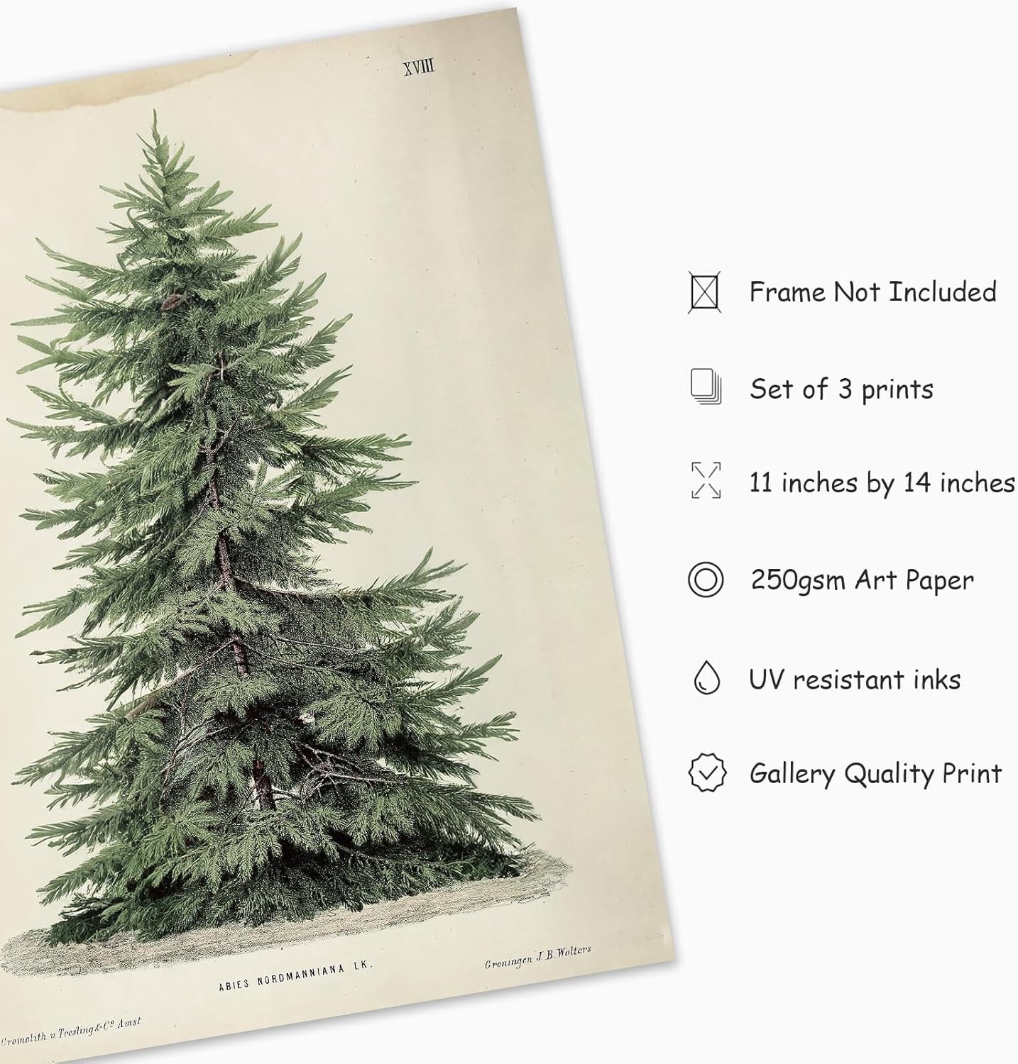 JarThenaAMCS 3Pcs Winter Wall Art Prints 11 x 14 Inch, Christmas Trees 