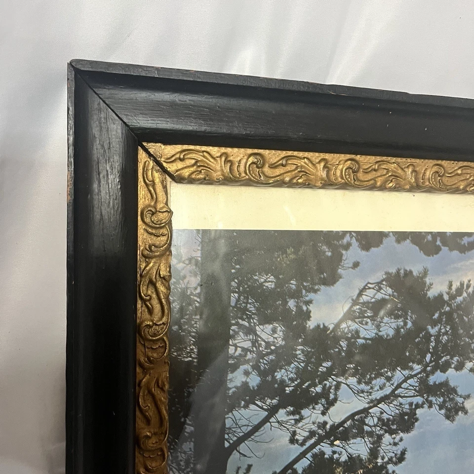 Cuadro de pared de madera antiguo con marco de yeso dorado de 19x23 pantallas de 15,5x19,75 Foto 2 de 4