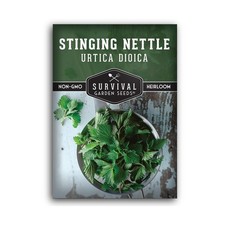 Stinging Nettle Seed for Planting - 1 Packet with Instructions to Plant and G...