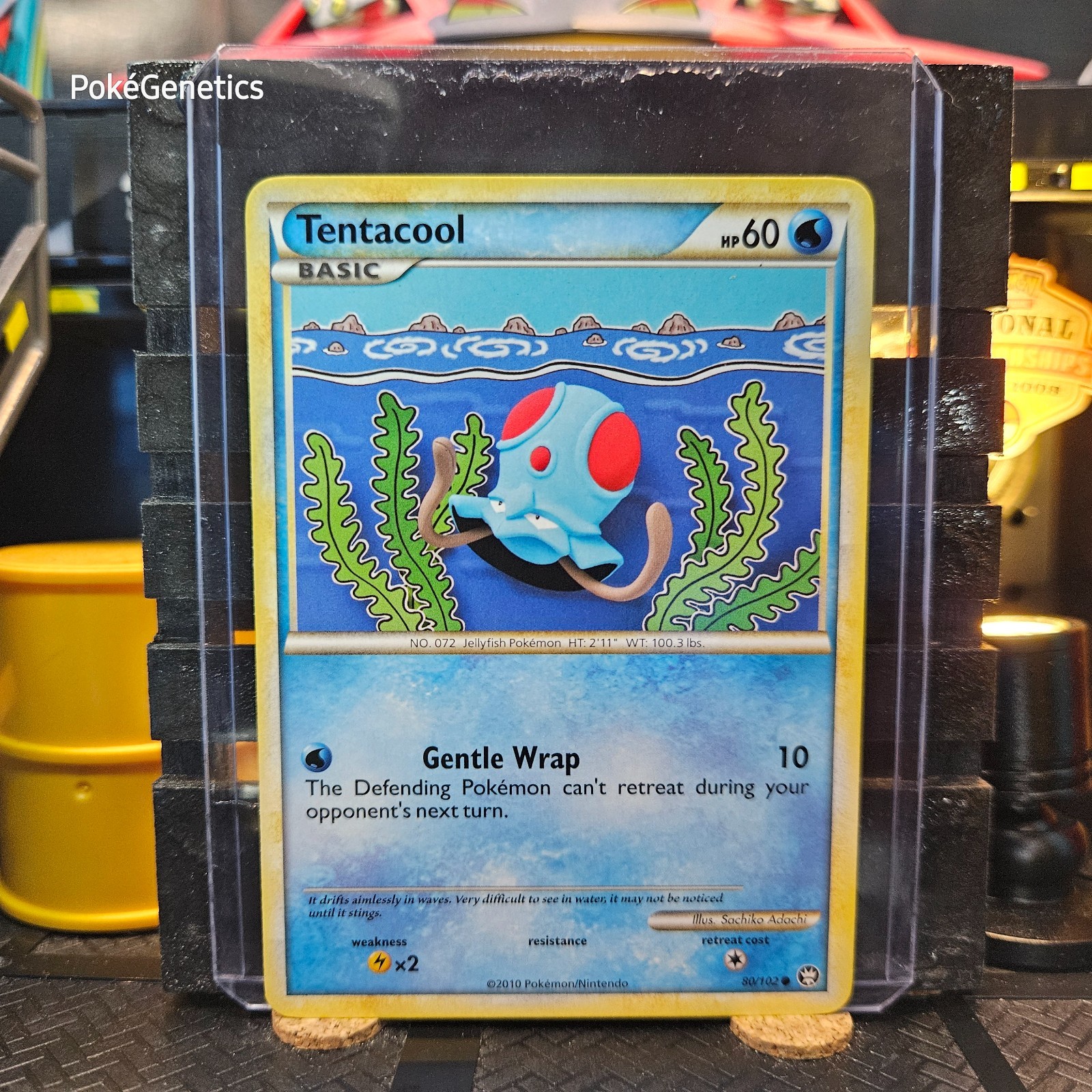 Tentacool Triumphant Pokémon TCG 80/102 HeartGold & SoulSilver Common