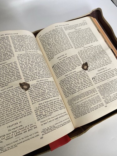 Vtg Holy Bible Family Rosary Commemorative Ed Catholic Marian Year 1957 - Imagen 18 de 24