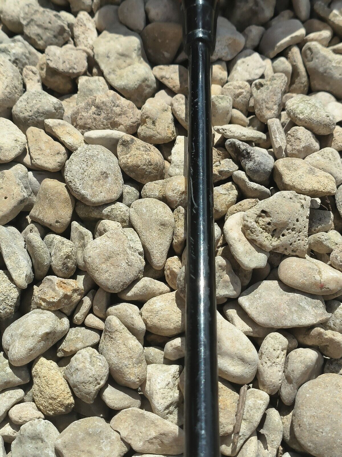 Picture 15 of 21