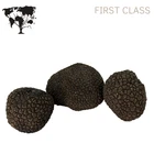 Precious ITALIAN fresh black truffles. Black truffle 250g. 8,8 oz. FIRST CLASS