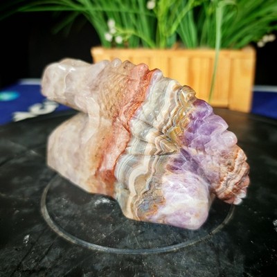 3.5LB Natural Crystal Hand-Carved Purple Agate Lizard Gift