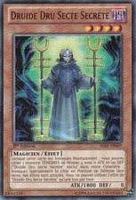 Yu-Gi-Oh: Druide Dru Secret | SHSP-FR009 | Commune | NM | DE