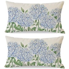 Spring Throw Pillow Covers 12x20 Inch Set of 20" x 12" Pack of 2 Blue Green