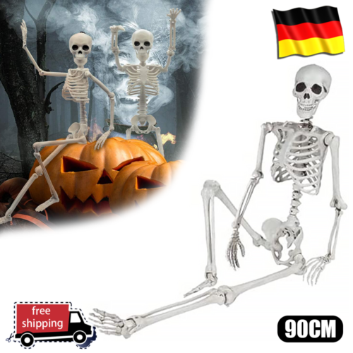 Menschliches Skelett Halloween 90cm H Beweglich / Lehrmodell / Anatomie / Deko - Afbeelding 1 van 7